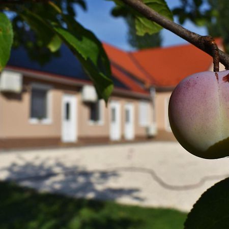 Napfény Apartman Makó Exterior foto