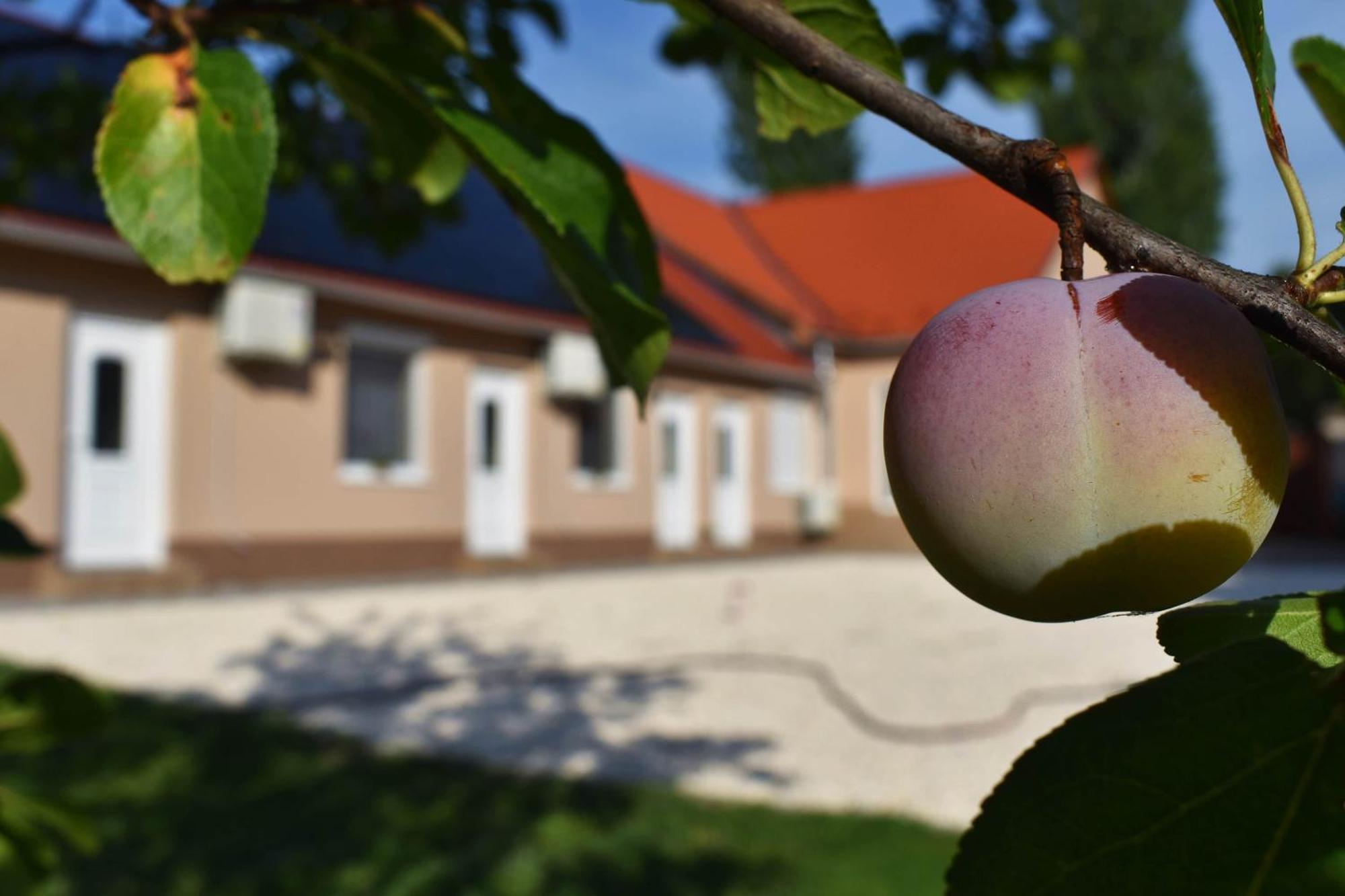 Napfény Apartman Makó Exterior foto